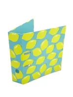 Wholesale Custom Lemon Pattern Lever Arch File for School & Office Organization (Dossier à levier pour l'organisation de l'école et du bureau)