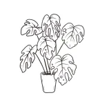 Wholesale Custom Teen Coloring Book – Image 9
