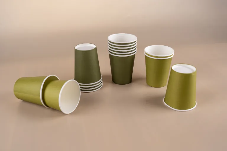 Coordinated party tableware set with paper cups