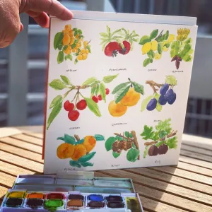 watercolor-fruit-practice-1